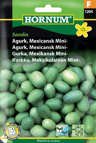Agurk, Mexicansk Mini-, Sandia (F)