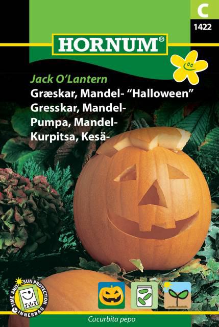Græskar, Mandel- “Halloween”, Jack O’Lan