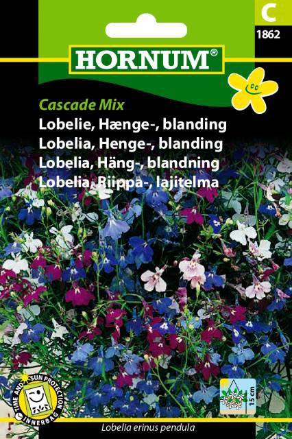 Lobelie, Hænge-, blanding, Cascade Mix