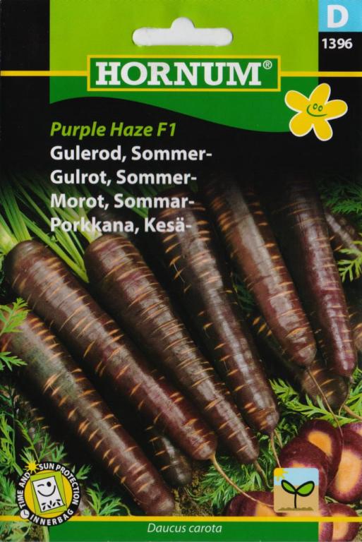 Gulerod, Sommer-, Purple Haze F1