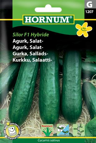Agurk, Salat-, Silor F1 Hybride