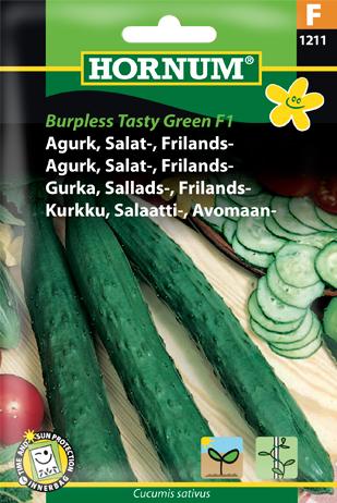Agurk, Salat-, Frilands-, Burpless Tasty
