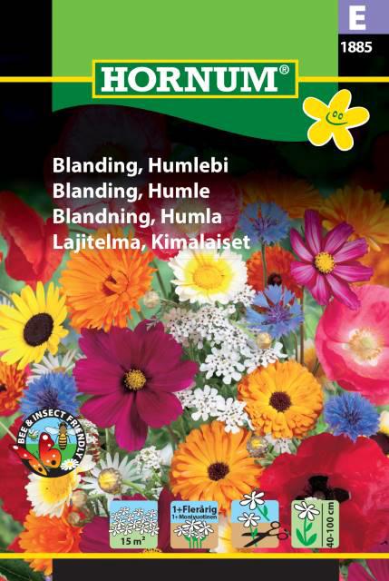 Blanding, Humlebi,