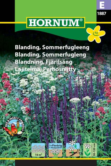 Blanding, Sommerfugleeng,