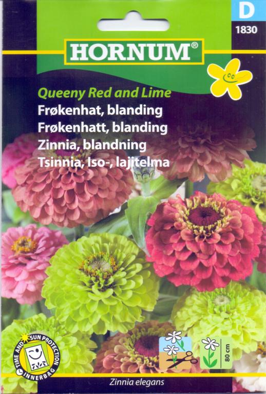 Frøkenhat, blanding, Queeny Red and Lime