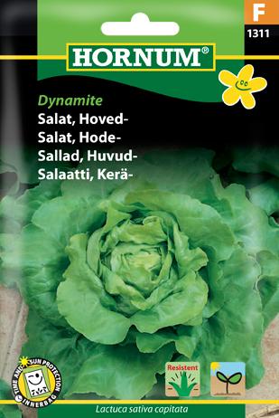 Salat, Hoved-, Dynamite