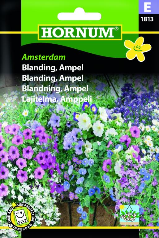 Blanding, Krukke, Amsterdam
