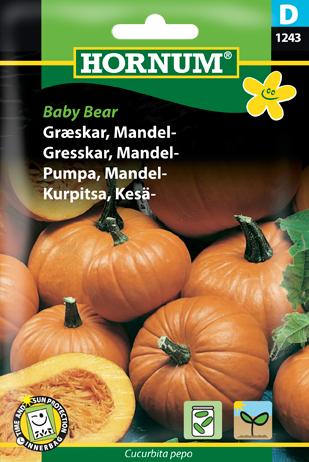 Græskar, Mandel-, Baby Bear