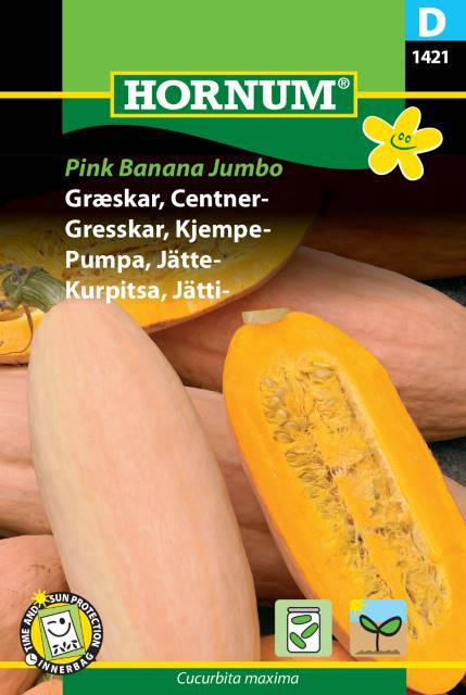 Græskar, Centner-, Pink Banana Jumbo