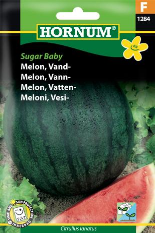Melon, Vand-, Sugar Baby