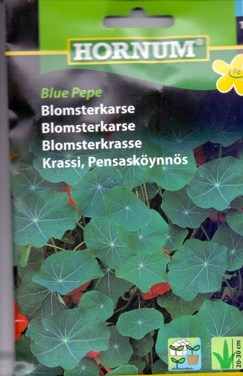 Blomsterkarse, Blue Pepe