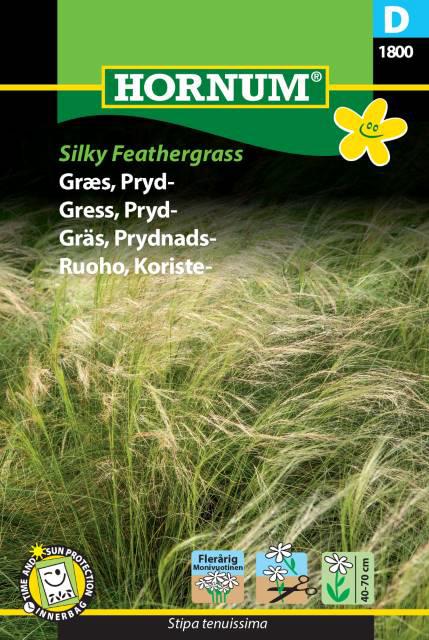 Græs, Pryd-, Silky Feathergrass