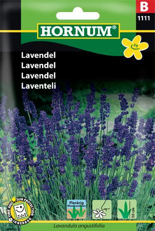Lavendel,