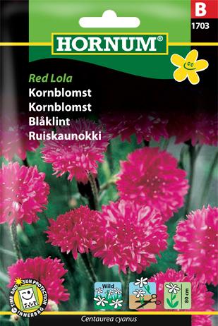 Kornblomst, Red Lola