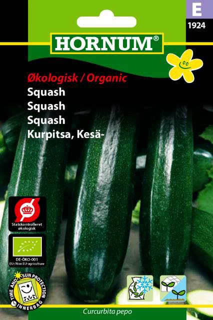 Økologisk Squash, Black Beauty