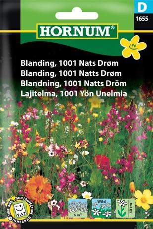 Blanding, 1001 Nats Drøm,