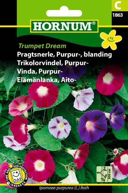 Pragtsnerle, Purpur-, blanding, Trumpet
