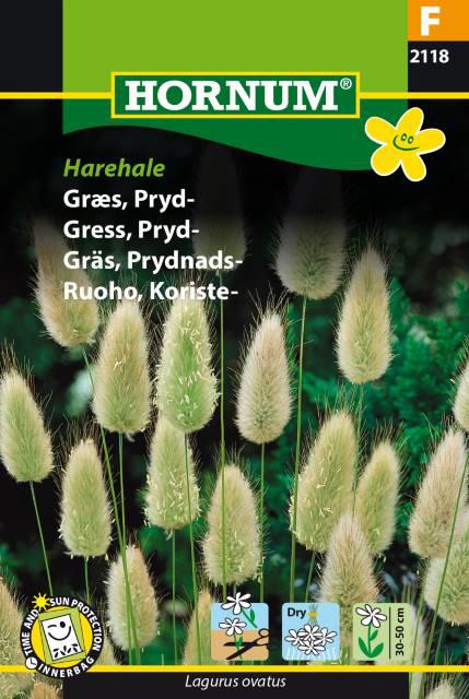 Græs, Pryd-, Harehale (F)