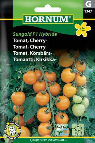 Tomat, Cherry-, Sungold F1