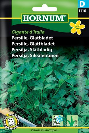 Persille, Glatbladet, Gigante d’Italia