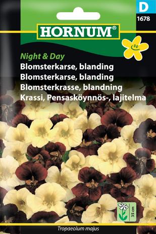 Blomsterkarse, blanding, Night & Day