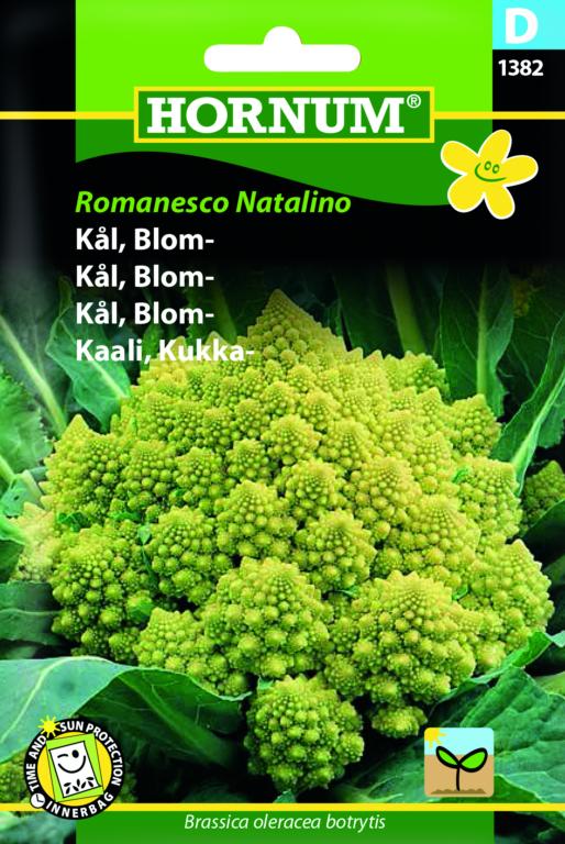 Kål, Blom-, Romanesco Natalino