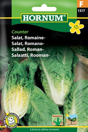 Salat, Romaine-, Xanadu