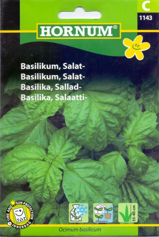 Basilikum, Salat-,