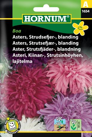 Asters, Strudsefjer-, blanding, Boa