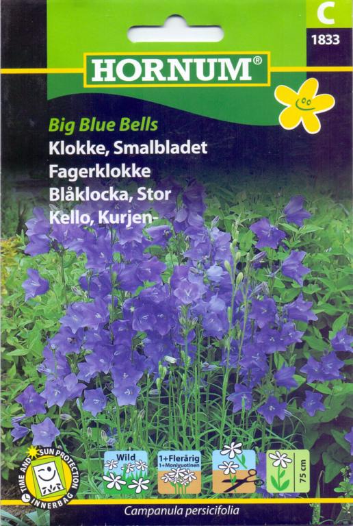 Klokke, Smalbladet, Big Blue Bells
