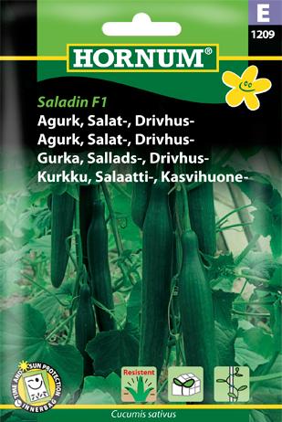 Agurk, Salat-, Drivhus-, Saladin F1 (E)