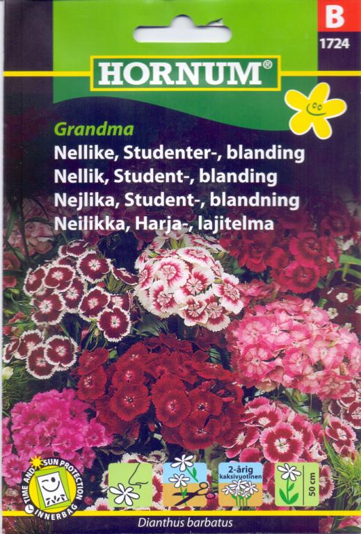 Nellike, Studenter-, blanding, Grandma