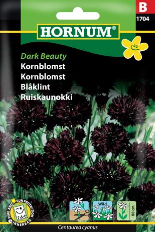 Kornblomst, Dark Beauty