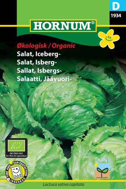 Økologisk Salat, Iceberg-, Saladin