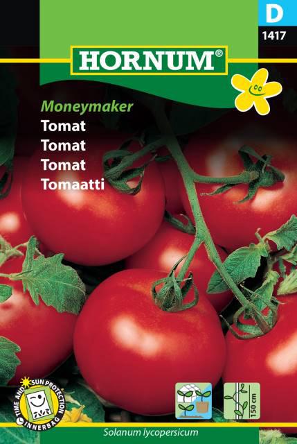 Tomat, Moneymaker