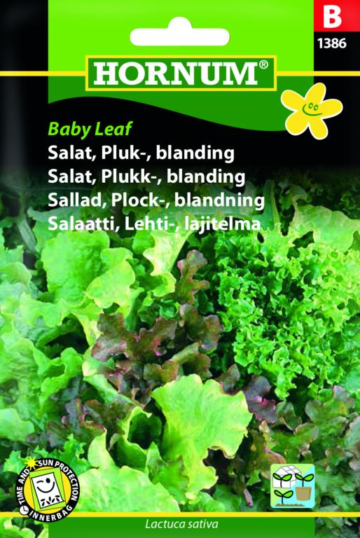 Salat, Pluk-, blanding, Baby Leaf