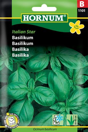 Basilikum, grøn, Italian Star