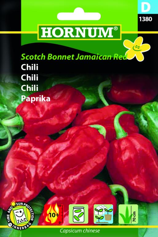 Chili, Scotch Bonnet Jamaican Red