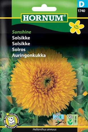 Solsikke, Sunshine