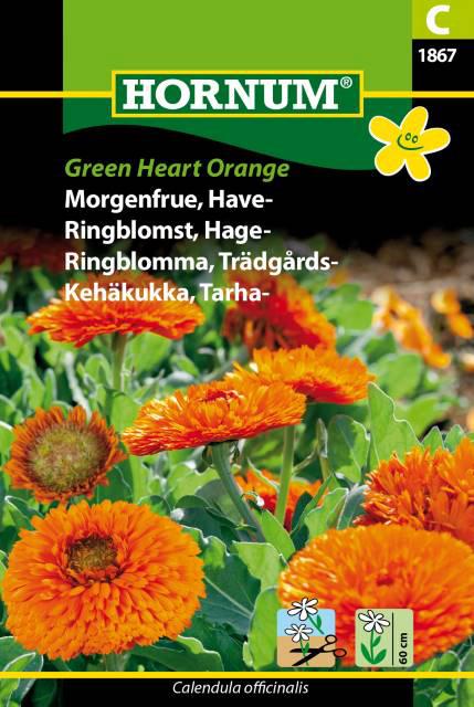 Morgenfrue, Have-, Green Heart Orange