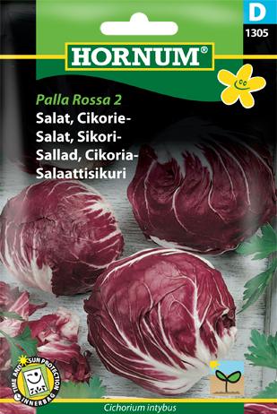 Salat, Cikorie-, Palla Rossa 2