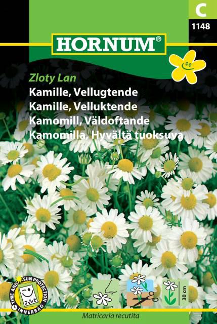 Kamille, Vellugtende, Zloty Lan (C)