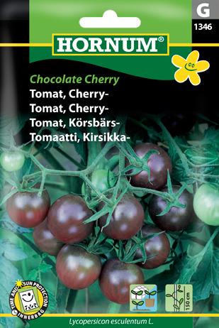 Tomat, Cherry-, Black Cherry (D)