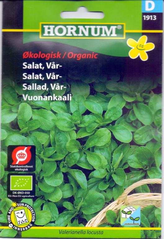 Økologisk Salat, Vår-, Vit