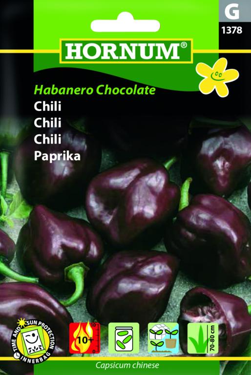 Chili, Habanero Chocolate