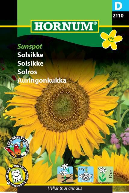 Solsikke, Sunspot