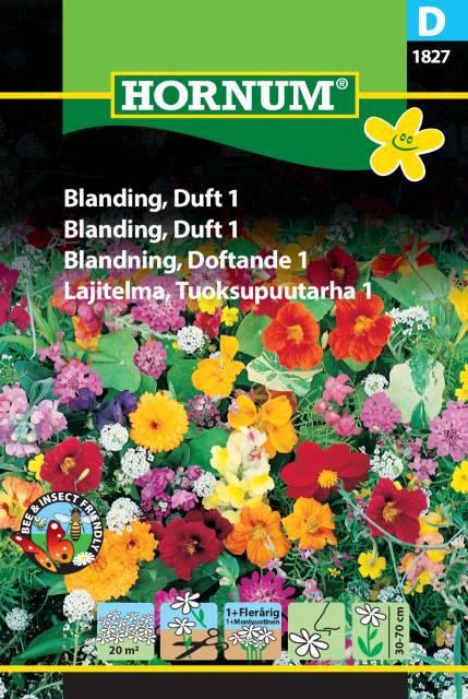 Blanding, Duft 1,