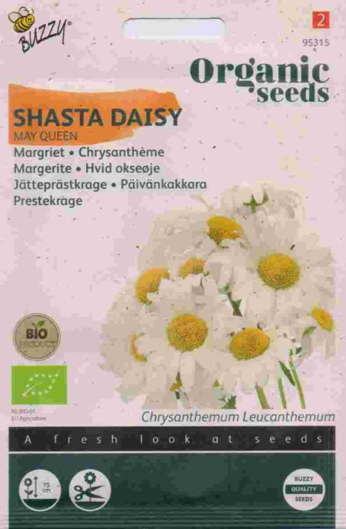 Buzzy Økologisk Chrysanthemum May Queen 
