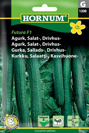 Agurk, Salat-, Drivhus-, Euphya F1  (G)