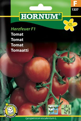 Tomat, Harzfeuer F1